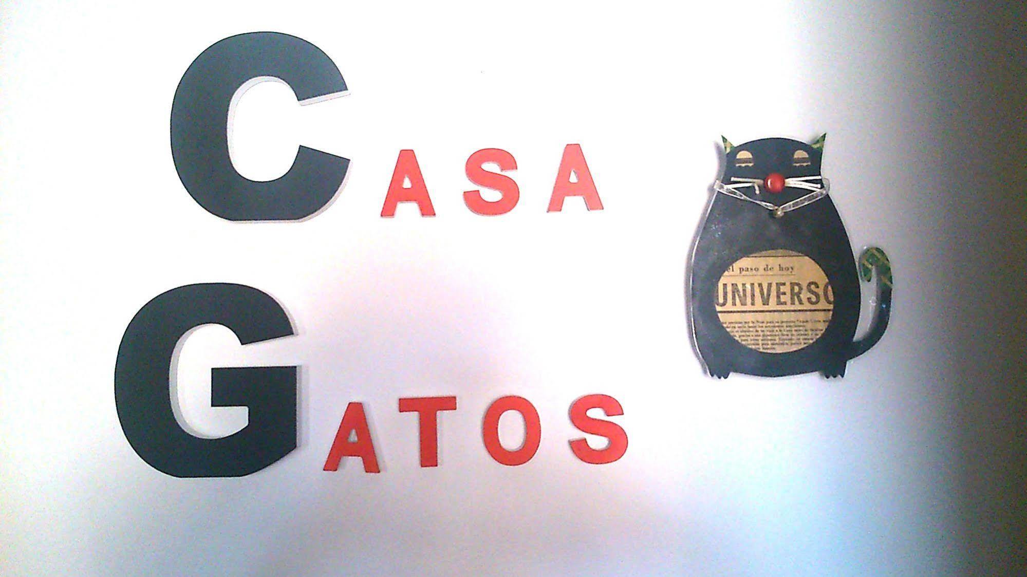 Casa Gatos Apartman Toledo Kültér fotó
