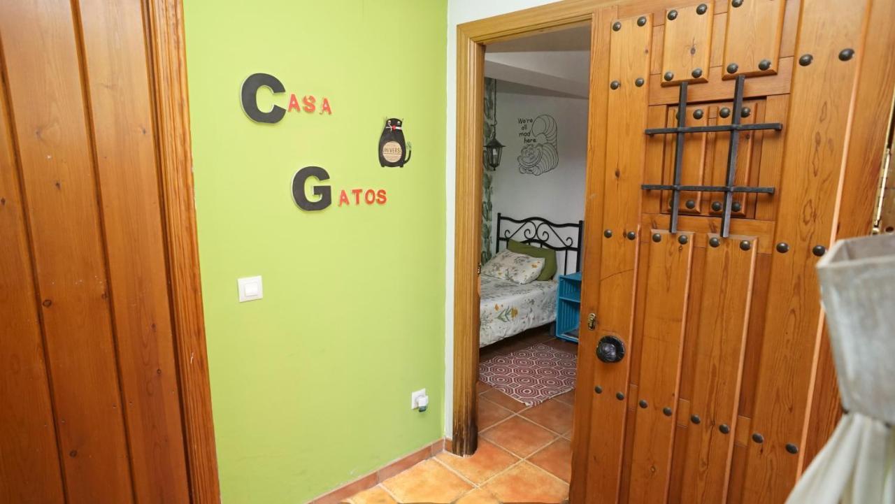 Casa Gatos Apartman Toledo Kültér fotó
